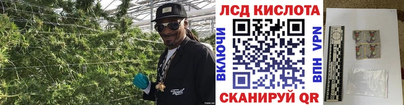 Купить  Лесозаводск  Марки NBOMe 1500мкг 